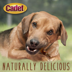 Cadet 28oz bag of treats stacked, convenient training rewards