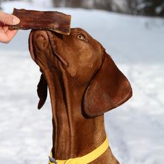 Cadet beef strips close-up showing dental care through chewing action.