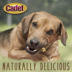 Cadet Training Treats Chicken Apple showcases easy-to-use rewards for dogs.