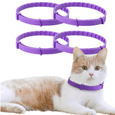 CAILENIFDC calming collar on cat neck promoting calmer behavior.
