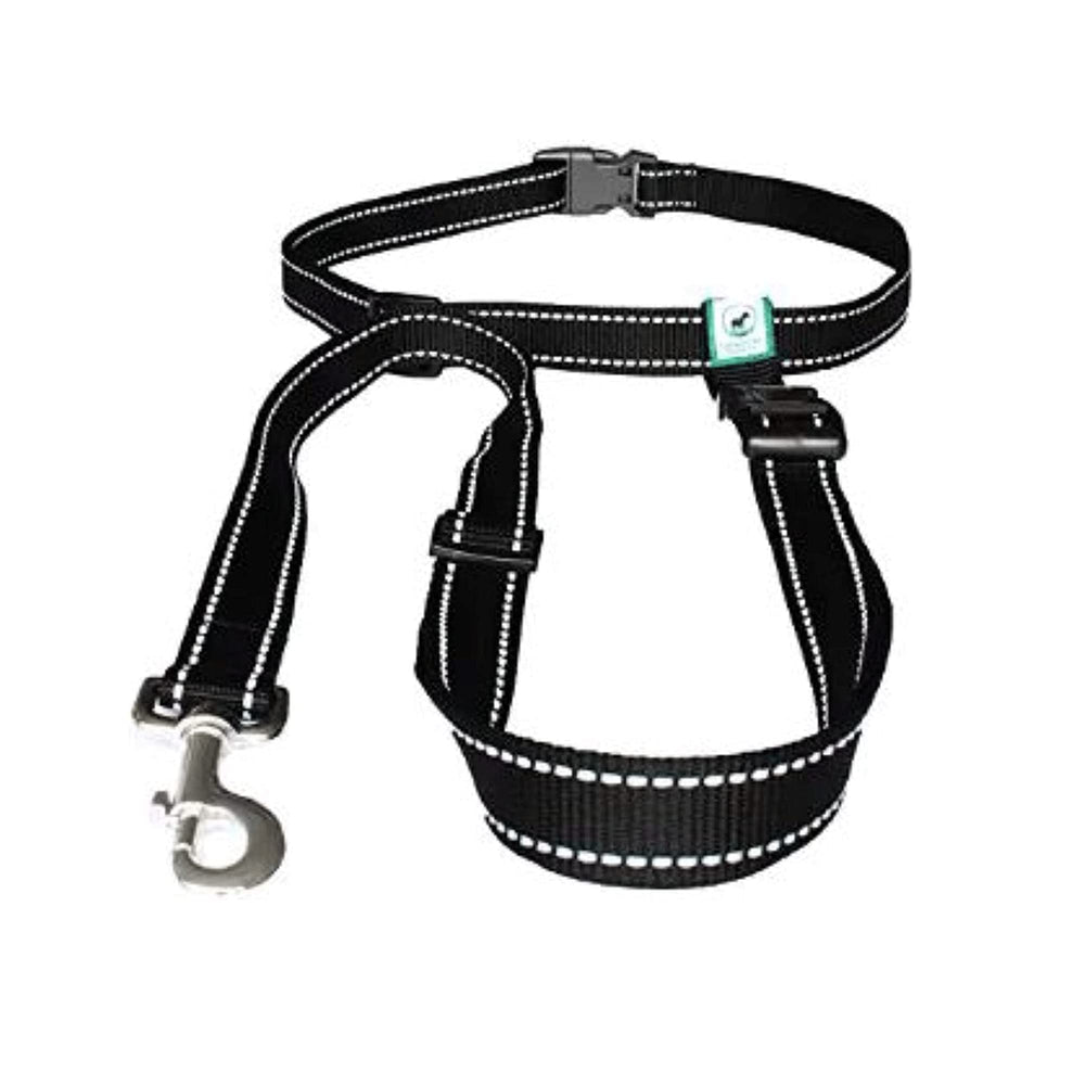 Caldwell's hands-free leash for walking keeps you hands-free during strolls.