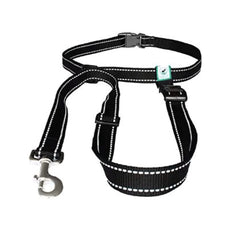 Caldwell's hands-free leash for walking keeps you hands-free during strolls.