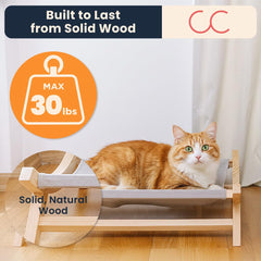 CallieCo cat bed 30lbs supports larger cats and small dogs.