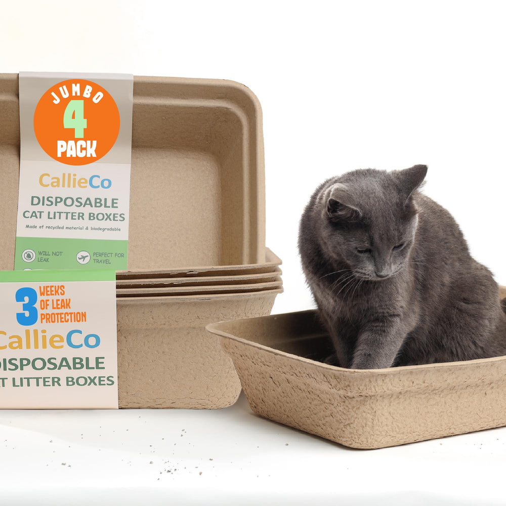 CallieCo disposable cat litter box in travel-compact design for quick setups