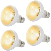 CALPALMY 4-pack 100W reptile heat lamp bulbs for basking warmth