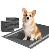 Camonti dog pads 100-count packaging for bulk potty-training supplies.