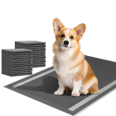 Camonti dog pads 100-count packaging for bulk potty-training supplies.