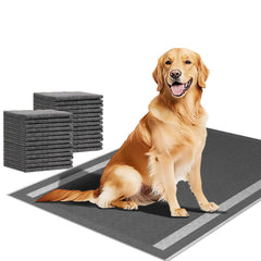 Camonti pee pads box view shows a 50-count training pack.