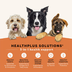 CANIDAE All Life Stages first ingredient chicken close-up for digestible protein.