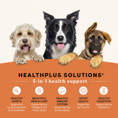 HealthPlus probiotics and vitamins illustration highlights digestive comfort and immune-support potential.