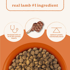 CANIDAE All Life Stages high-protein formula served in a bowl supports active dogs.