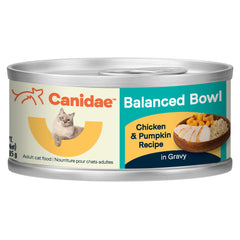 CANIDAE Balanced Bowl chicken and pumpkin close-up of hearty gravy chunks for hydration.