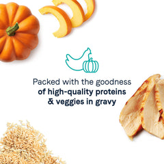 CANIDAE Balanced Bowl serving idea shows topper over kibble for variety.