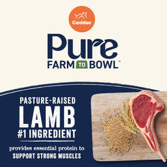 Canidae Pure Farm Lamb bowl kibble ready for serving with balanced energy