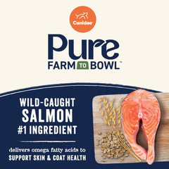 Canidae Pure Farm to Bowl puppy meal bowl close-up highlighting balanced nutrition.