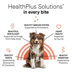 CANIDAE Under The Sun fruits and vegetables highlighted for dogs.