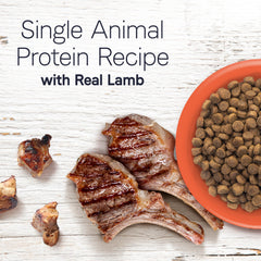 CANIDAE Under the Sun Lamb kibble close-up showing real lamb flavor.