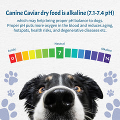 Serving bowl with Canine Caviar Wild Ocean illustrating proper portioning.