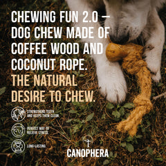 Close-up of Canophera chew's textured coffee wood fibers for lasting chewing time.