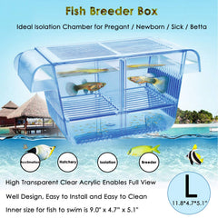 Capetsma fish breeder box floating hatchery isolates newborn fry for safety.