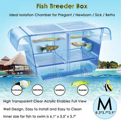 Capetsma fish breeder box front view showing secure fry habitat