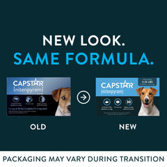 Capstar 30-minute kill timeline illustrates rapid flea reduction.
