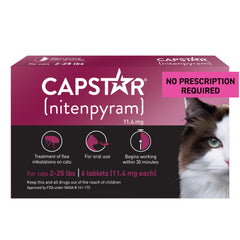 Capstar cat flea tablet close-up showing quick-acting flea control.