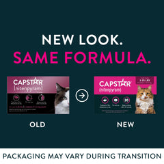 Close-up of Capstar tablet ready for quick flea kill.
