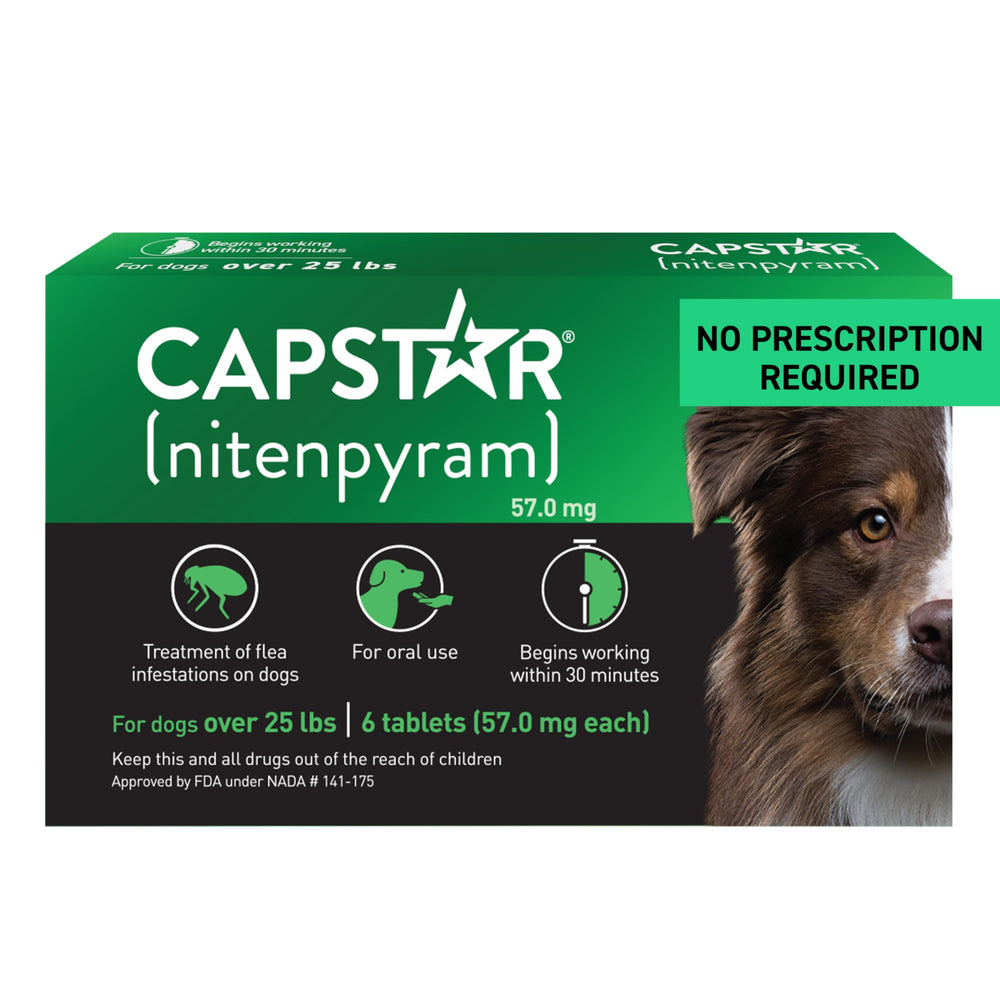 Capstar for dogs box and tablets, OTC flea relief you can trust at home.