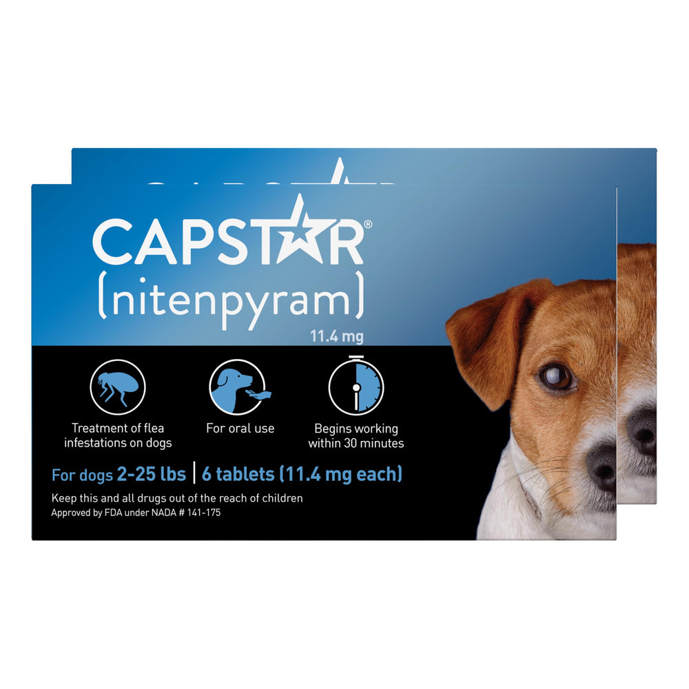 Capstar small-dog flea-tablet packaging shows fast action for fleas.