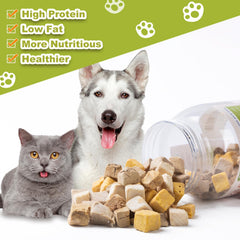 Capuca feeding method scene shows a dog rewarded with treats during training.