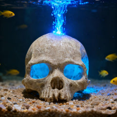 Carefree Fish skull decor doubles as hiding place and Halloween centerpiece.
