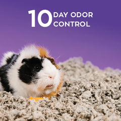 Carefresh bedding in hamster habitat illustrating a comfortable dry nest space