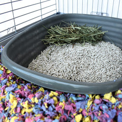 Carefresh Rabbit & Ferret litter absorption visualization shows 200% liquid uptake.