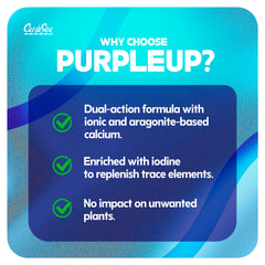 Carib Sea Purple Up being dosed into a reef tank supports calcium balance