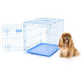 Carlson Blue Secure Compact crate assembled, showing sturdy all steel construction.
