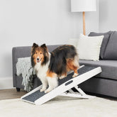 Carlson pet ramp on bed access for easy, low-effort climbs.