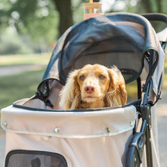 Carlson Pet Stroller with rear wheel brakes for controlled stopping on sidewalks.