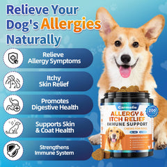 Carmelie allergy chews paw-licking scene shows seasonal allergy support