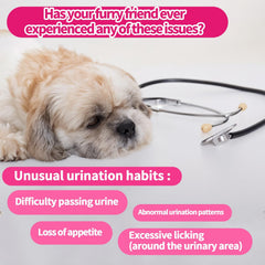 Carmelie cranberry D-Mannose chews pack designed for canine urinary care.