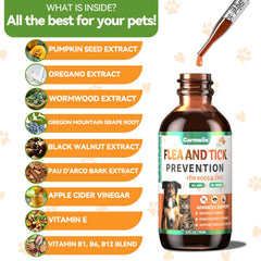 Carmelie dog-cat oral supplement being mixed into food for easy dosing.