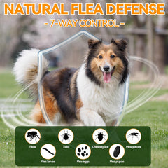Carmelie flea-tick chews 200-count pack for extended protection