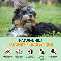 Carmelie flea-tick chews close-up showing soft texture and palatable taste