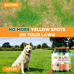 Carmelie Grass Burn Spot Chews chicken flavor for a tasty daily supplement.