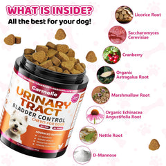 Carmelie probiotics provide immune and digestion support in dog treats.