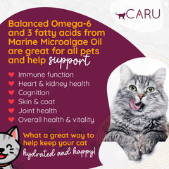 Caru Classics Turkey Stew plate ready-to-serve wellness topper for cats.