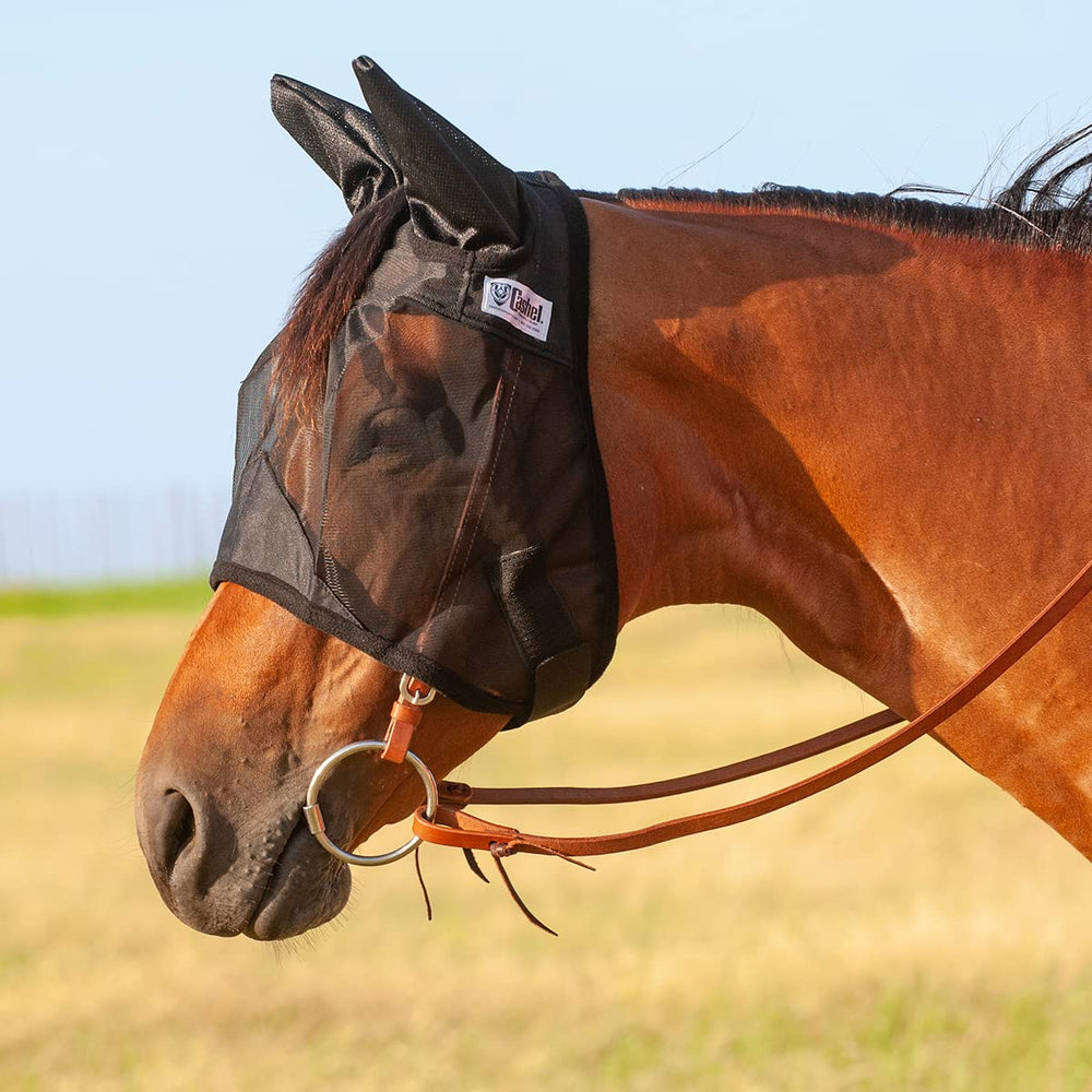 Cashel Quiet Ride fly mask with ears on horse during trail riding