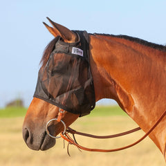 Cashel Quiet Ride mask on Arabian horse, front view for fly protection