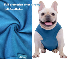 Caslfuca anti-scratch recovery suit protects wounds from licking and scratching.