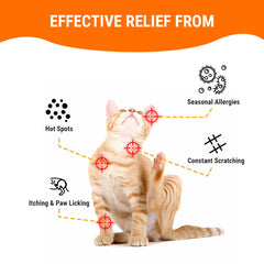 Cassiel Pet Dog Allergy Relief Chews helping dog inflammation comfort